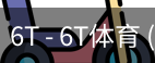 6T体育